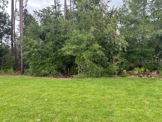 7637 SW 180th Cir, Dunnellon, FL 34432 - photo 15