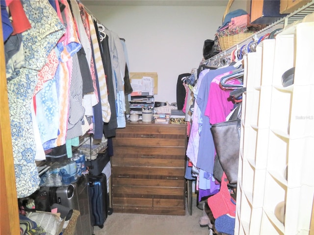 5083 SE 26th St, Ocala, FL 34480 - spacious closet featuring carpet flooring