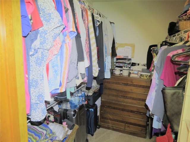 5083 SE 26th St, Ocala, FL 34480 - spacious closet with carpet
