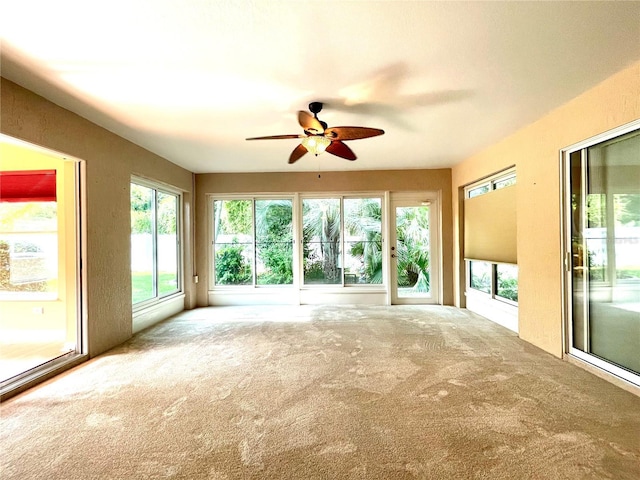 16405 SW 14th Avenue Rd, Ocala, FL 34473 - unfurnished sunroom with healthy amount of natural light and carpet