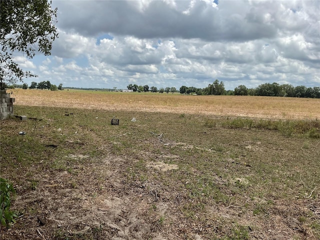 NE 46th Ln, Bronson, FL 32621 - photo 1