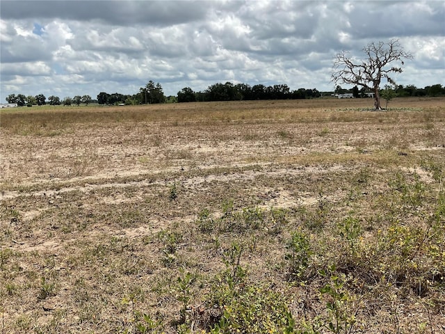 NE 46th Ln, Bronson, FL 32621 - photo 2
