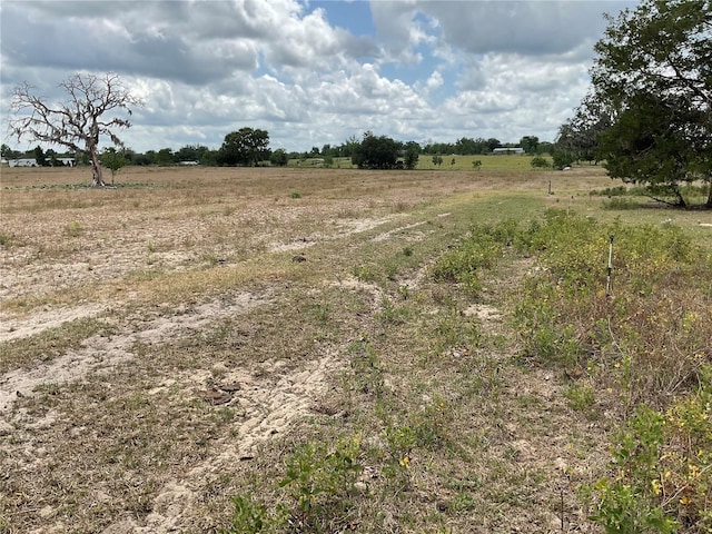 NE 46th Ln, Bronson, FL 32621 - photo 4