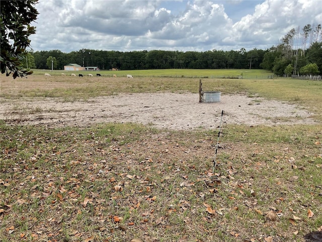 TBD NE 46th Land, Bronson, FL 32621 - photo 2