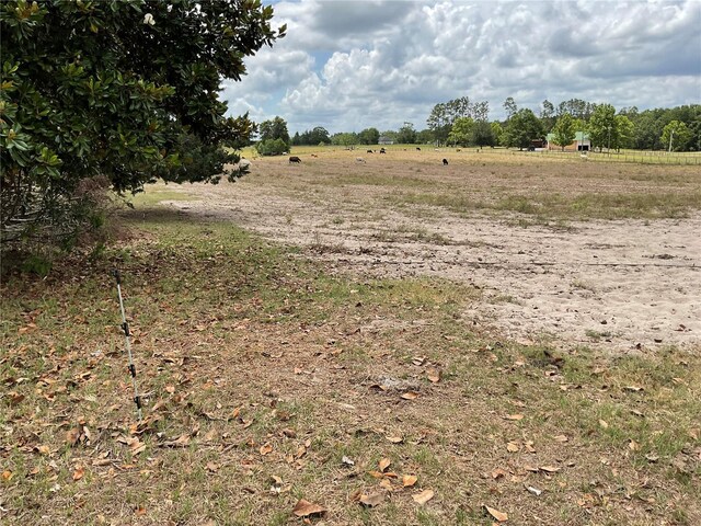 TBD NE 46th Land, Bronson, FL 32621 - photo 4
