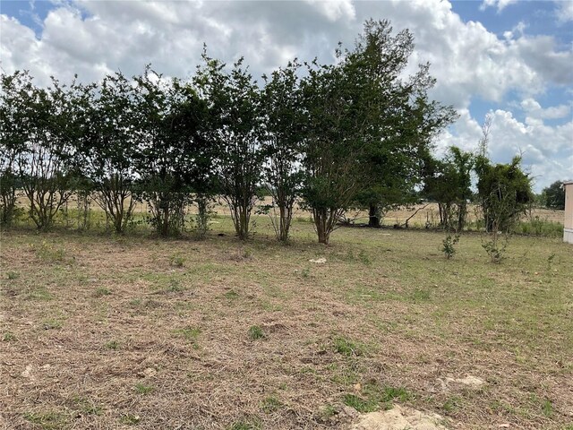 TBD NE 46th Land, Bronson, FL 32621 - photo 5