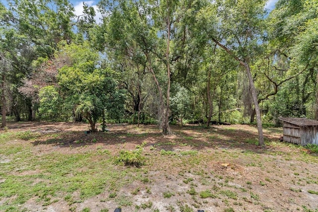 12080 SE Sunset Harbor Rd, Weirsdale, FL 32195 - view of yard with a storage unit