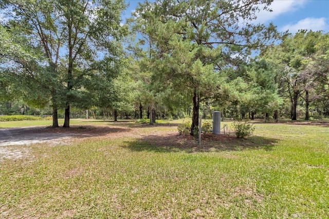 12080 SE Sunset Harbor Rd, Weirsdale, FL 32195 - view of grassy yard