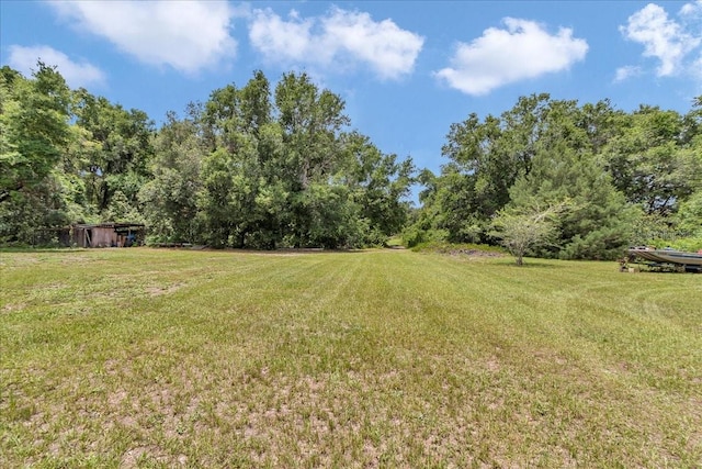 12080 SE Sunset Harbor Rd, Weirsdale, FL 32195 - view of grassy yard