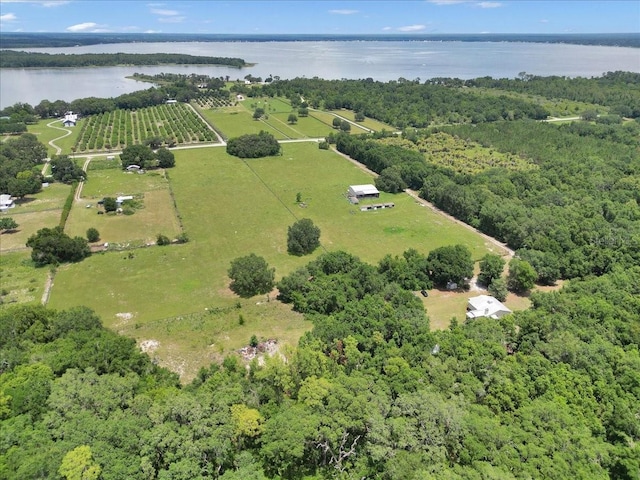 12080 SE Sunset Harbor Rd, Weirsdale, FL 32195 - view of property location with a large body of water and rural landscape