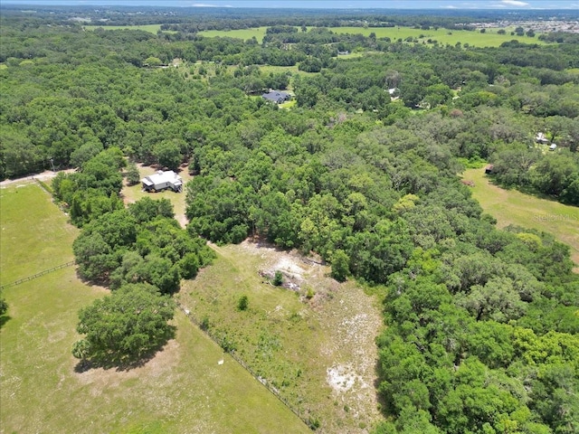 12080 SE Sunset Harbor Rd, Weirsdale, FL 32195 - aerial view of a forest