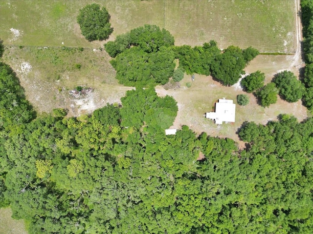12080 SE Sunset Harbor Rd, Weirsdale, FL 32195 - aerial overview of property's location