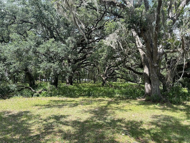 TBD SE 192nd Ct, Morriston, FL 32668