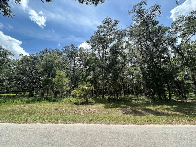 TBD SE 192nd Ct, Morriston, FL 32668