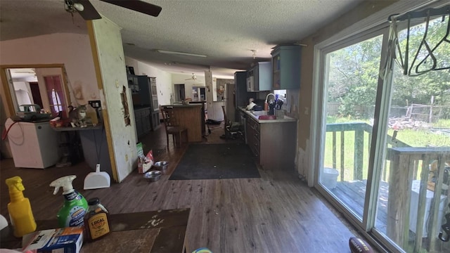 6915 W Arlington Pl, Homosassa, FL 34448 - photo 9