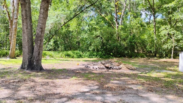 8485 E Hampton Point Rd, Inverness, FL 34450 - view of yard