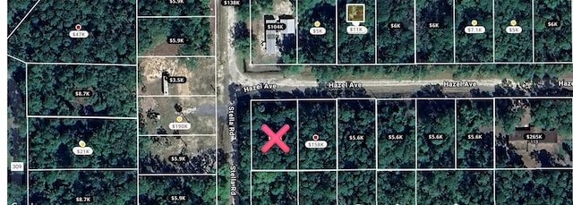 101 Hazel Ave, Georgetown, FL 32139