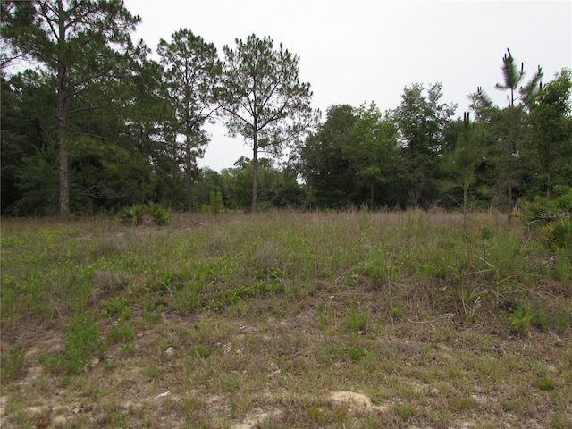 LOT40 SW S Wind Ct, Dunnellon, FL 34431