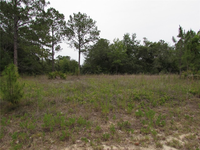 LOT40 SW S Wind Ct, Dunnellon, FL 34431
