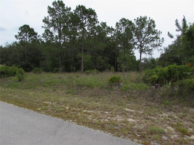 LOT40 SW S Wind Ct, Dunnellon, FL 34431