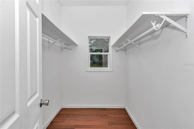 14550 SW 61st Ct, Ocala, FL 34473 - walk in closet with wood finished floors