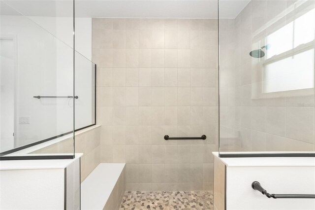 10562 SW 96th Lane Rd, Ocala, FL 34481 - full bath featuring a walk in shower and tile walls