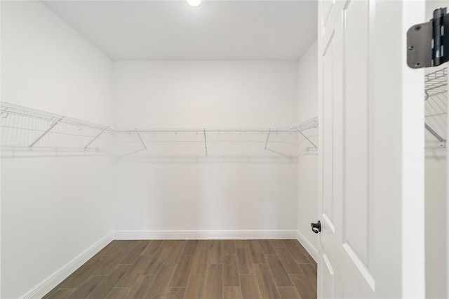 10562 SW 96th Lane Rd, Ocala, FL 34481 - spacious closet featuring dark wood finished floors