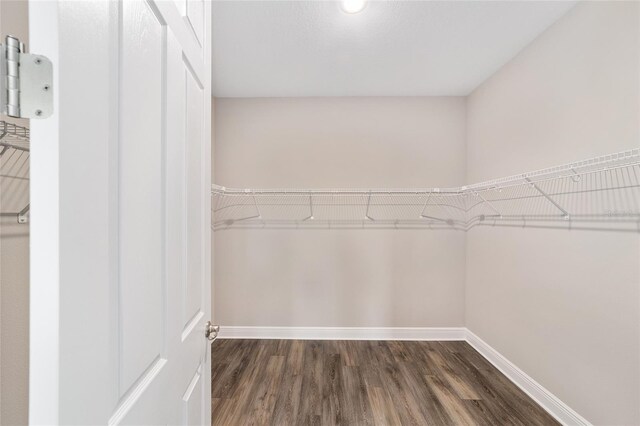 9865 SW 105th Ct, Ocala, FL 34481 - walk in closet featuring dark wood-style floors