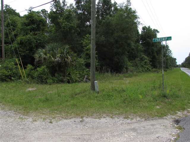 8942 N Parsnip Ter, Crystal River, FL 34428 - photo 4
