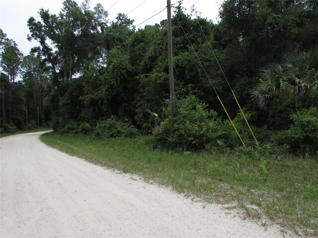 8942 N Parsnip Ter, Crystal River, FL 34428 - photo 6
