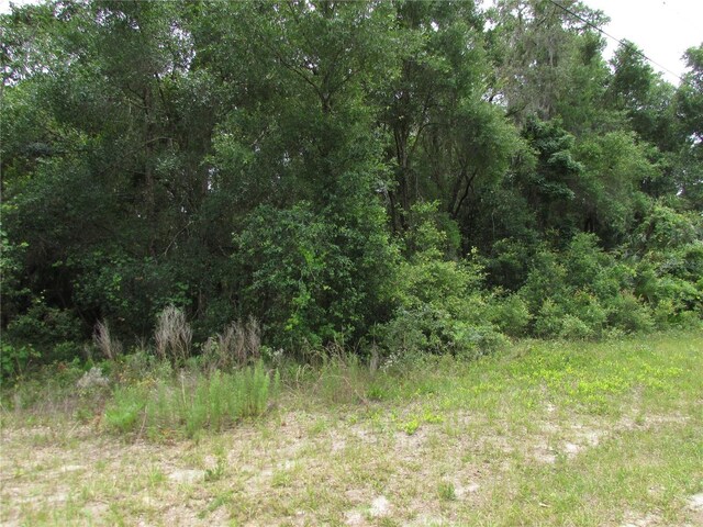 8942 N Parsnip Ter, Crystal River, FL 34428 - photo 7