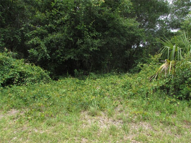 8942 N Parsnip Ter, Crystal River, FL 34428 - photo 8