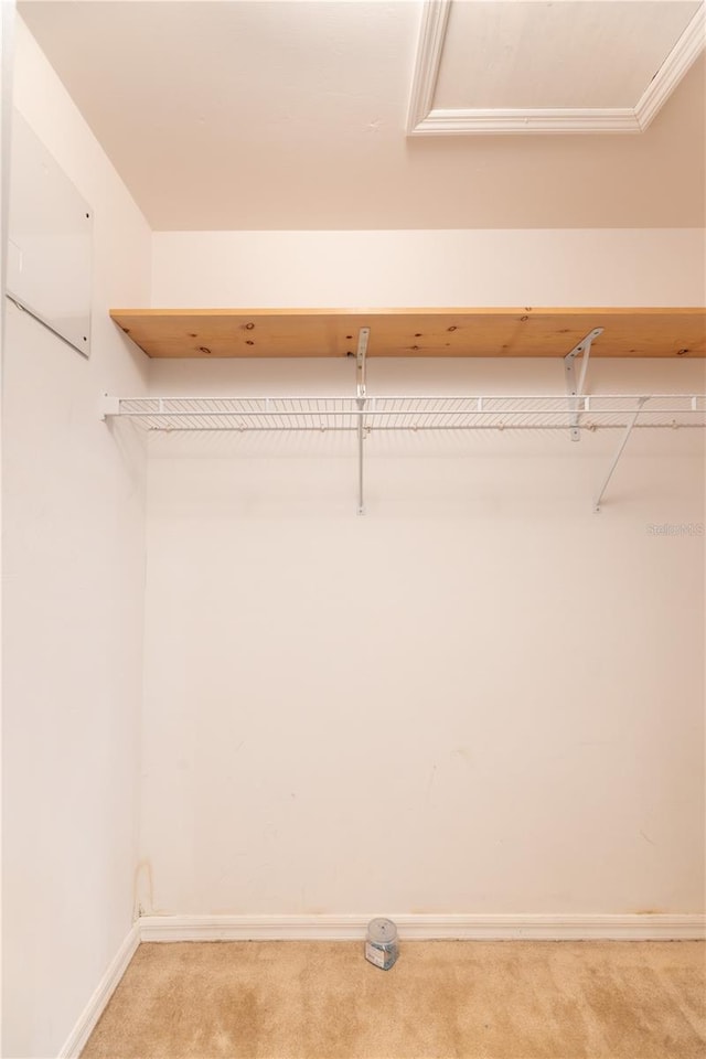 3019 NW Juanita Pl, Cape Coral, FL 33993 - spacious closet featuring light carpet