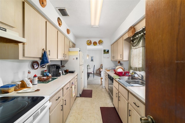 17128 SE 140th Ave, Weirsdale, FL 32195 - kitchen with a sink, dishwasher, light brown cabinetry, and light countertops