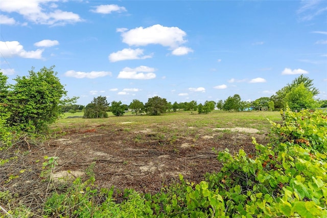 17128 SE 140th Ave, Weirsdale, FL 32195 - view of local wilderness featuring rural landscape