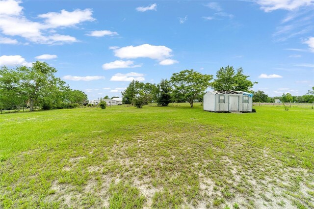 17128 SE 140th Ave, Weirsdale, FL 32195 - view of grassy yard