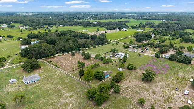 17128 SE 140th Ave, Weirsdale, FL 32195 - overview of rural landscape