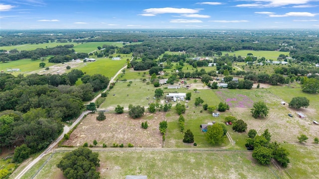 17128 SE 140th Ave, Weirsdale, FL 32195 - view of property location featuring rural landscape