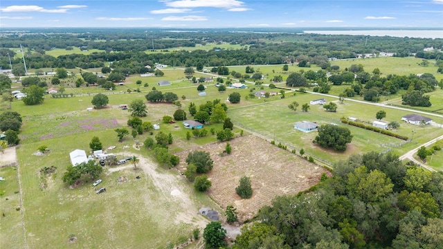 17128 SE 140th Ave, Weirsdale, FL 32195 - aerial view of property and surrounding area with rural landscape