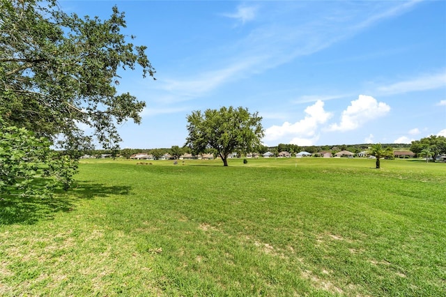5007 Kelso St, Leesburg, FL 34748 - photo 46