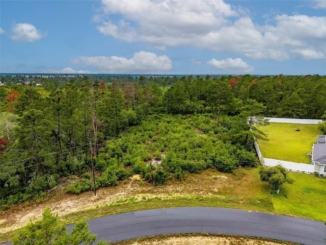 LOT16 SW 170th Loop, Ocala, FL 34473