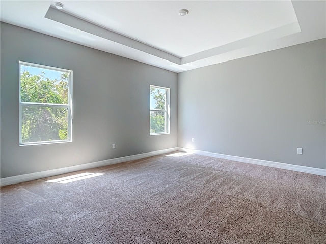 3018 Oceanside St, North Port, FL 34286 - unfurnished room with a raised ceiling, baseboards, and carpet flooring