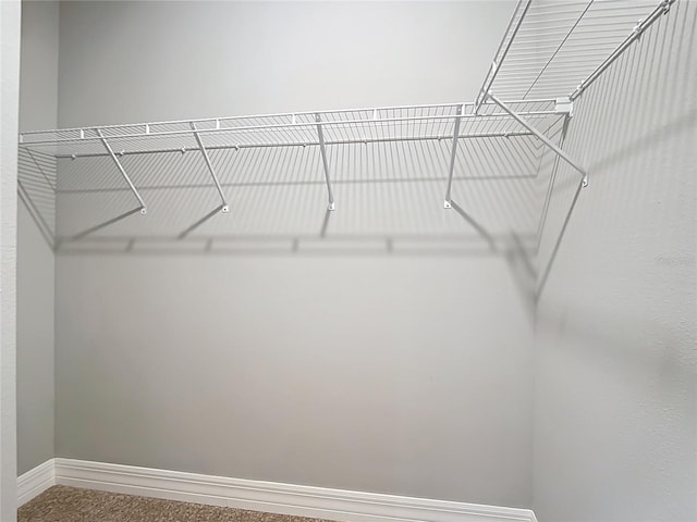 3018 Oceanside St, North Port, FL 34286 - view of spacious closet