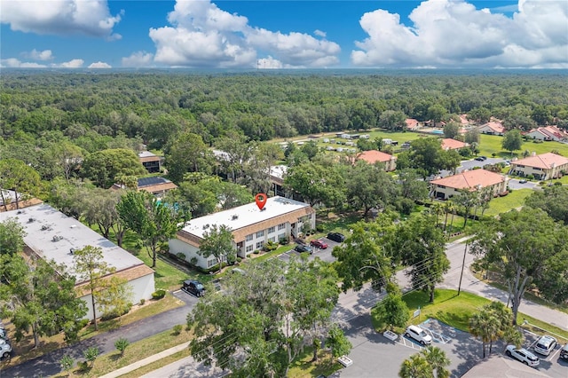 2400 Forest Dr Unit 231, Inverness, FL 34453 - photo 17