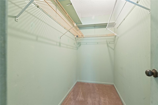 2400 Forest Dr Unit 231, Inverness, FL 34453 - photo 45