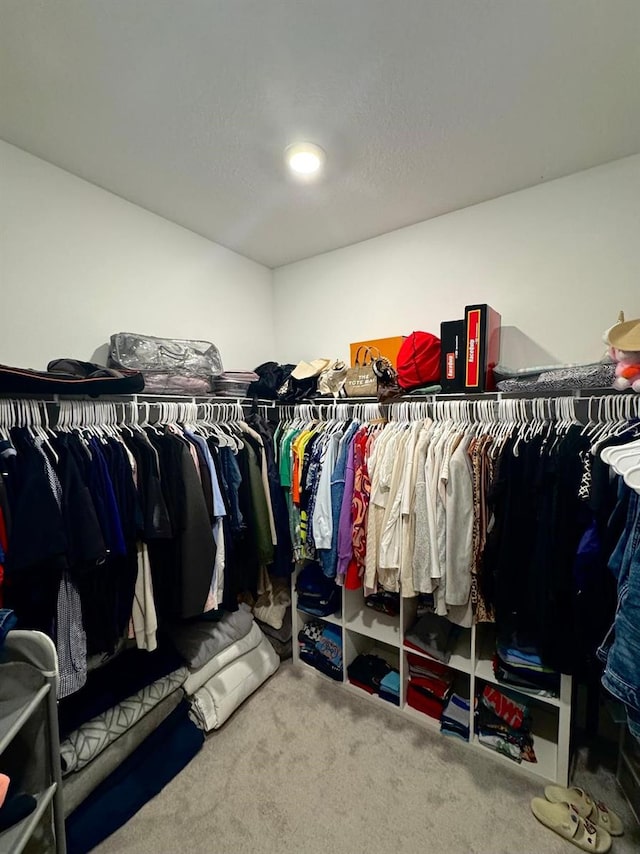 9253 SW 58th Cir, Ocala, FL 34476 - spacious closet with carpet floors