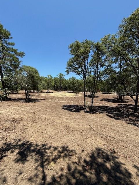 SE 148th Ave, Williston, FL 32696 - photo 1