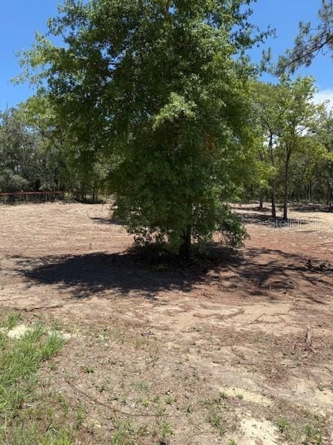 SE 148th Ave, Williston, FL 32696 - photo 4