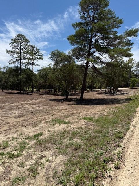 SE 148th Ave, Williston, FL 32696 - photo 5