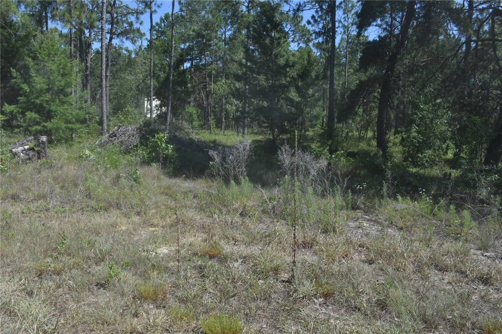 SE 6th Ln, Williston, FL 32696 - photo 1